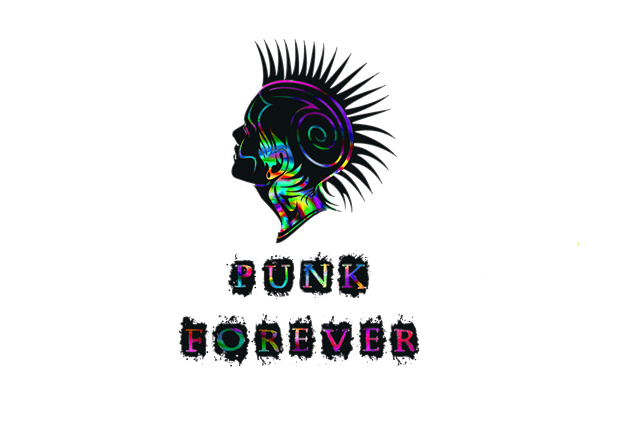 punk-892286_640