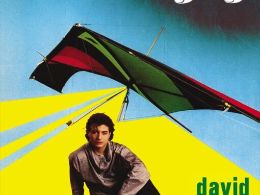 David Gray “I Wanna Fly” (1985, Italia) David Gray “I Wanna Fly” (1985, Italia)